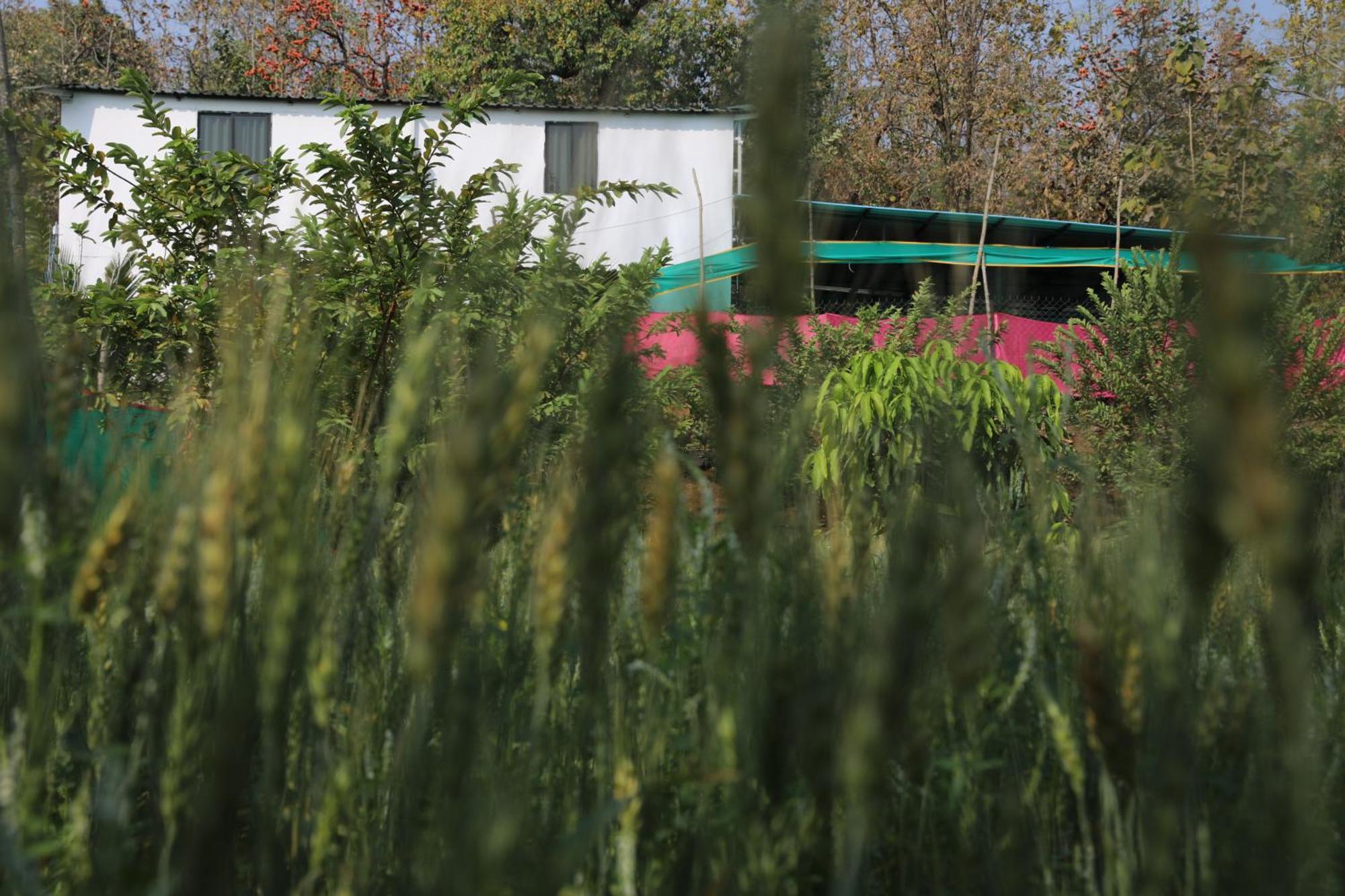 فيلا Anjani Farms ناغبور المظهر الخارجي الصورة